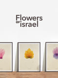 ISRAELI FLOWERS SET